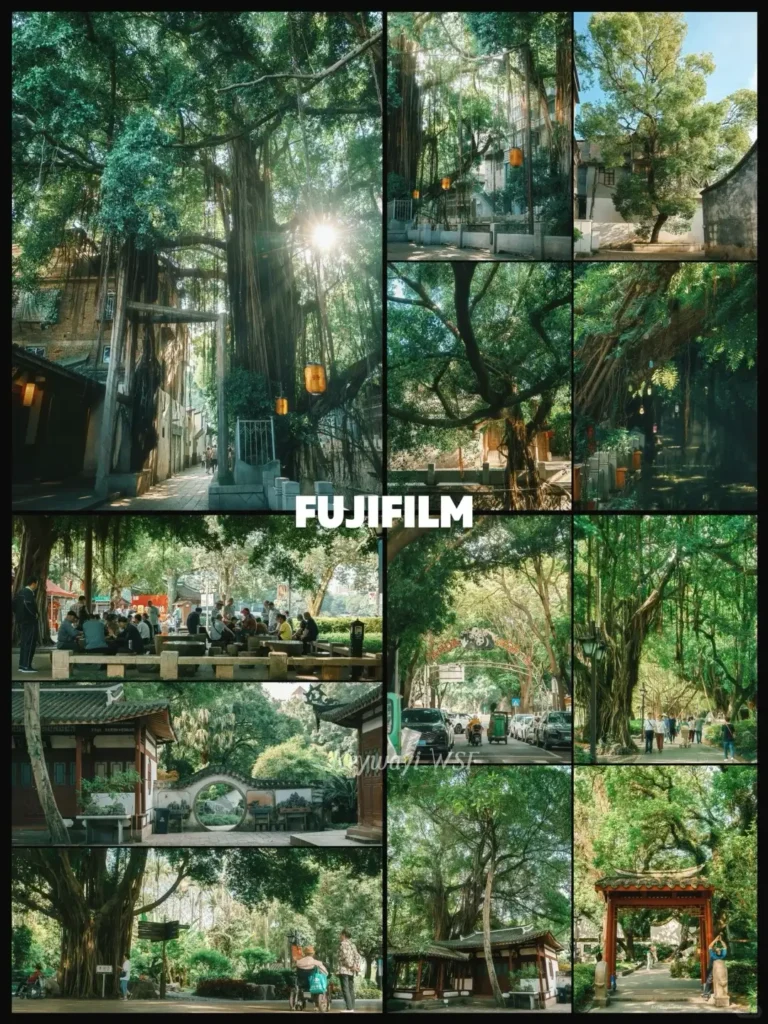 Fuzhou itinerary
Fuzhou travel guide
Fujian travel
West Lake Park
Sanfang Qixiang