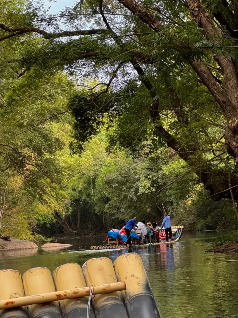 Wuyi Mountains tea
Fujian Itinerary
Fujian culture tour
Nine-Bend River
Wuyishan