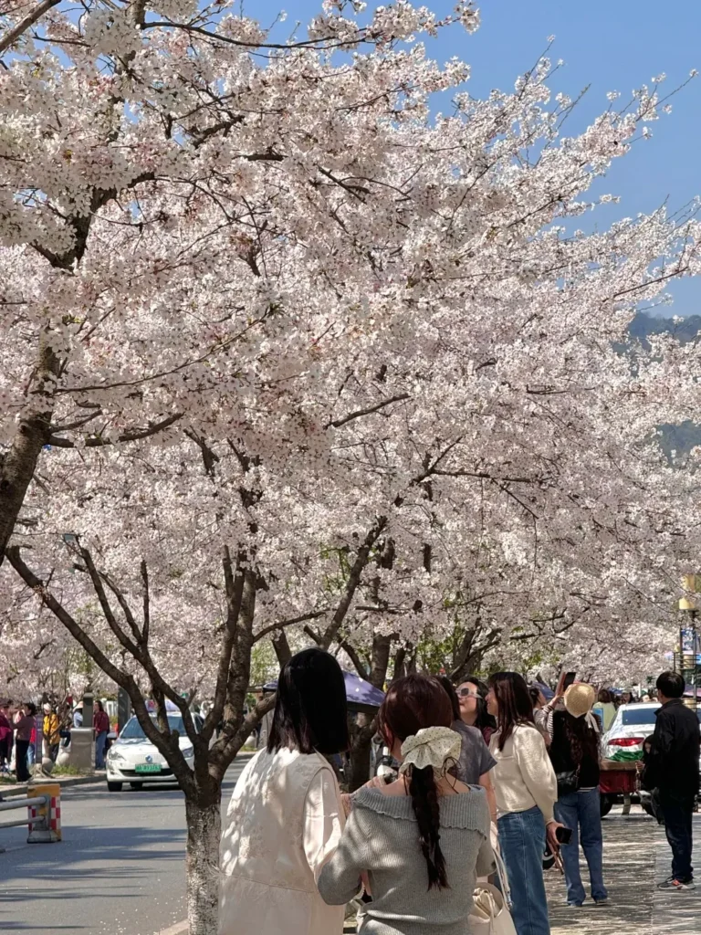 DuJiangYan
Dujiangyan