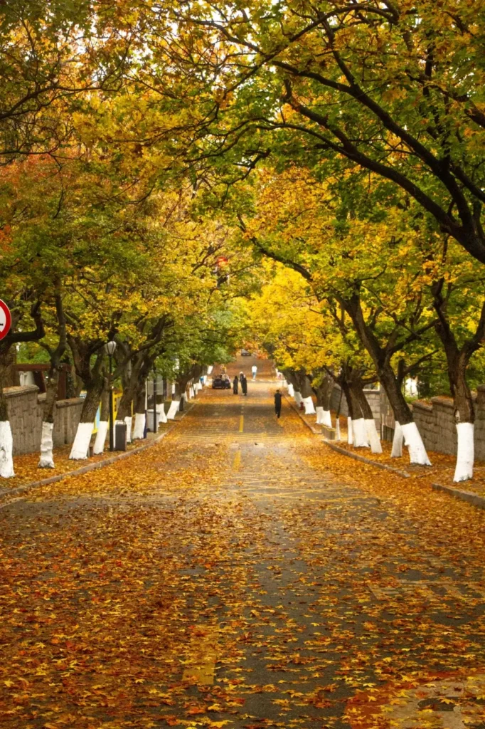 8-Day Qingdao Itinerary
Qingdao travel guide
Best seafood in China