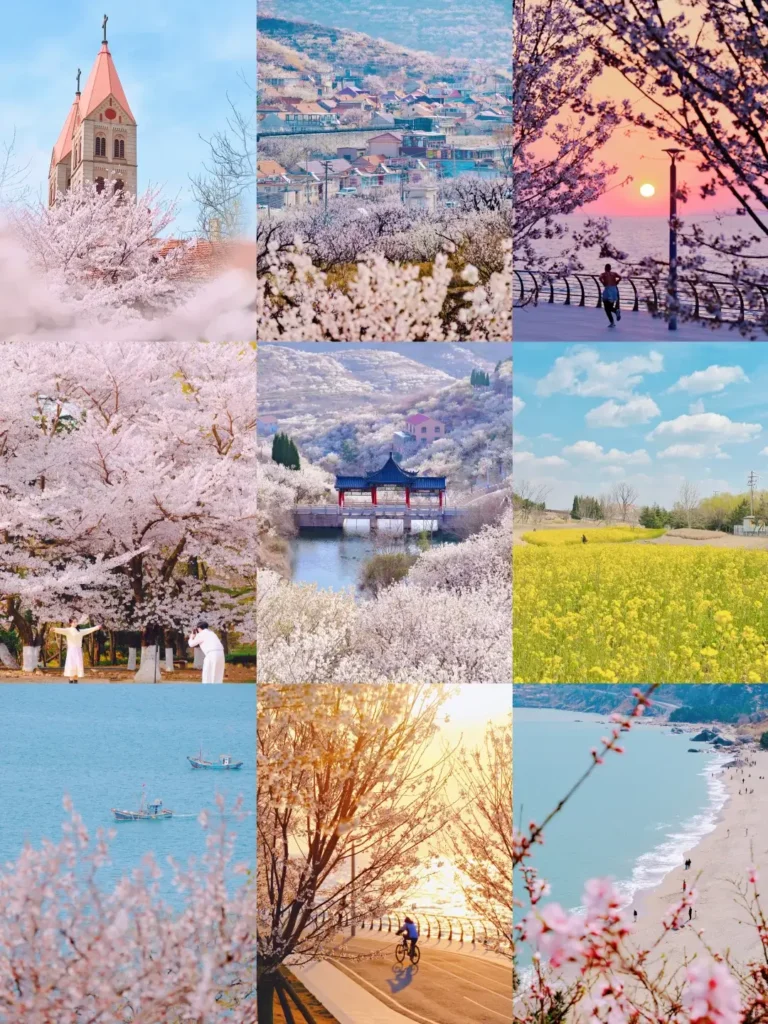 8-Day Qingdao Itinerary
Qingdao travel guide