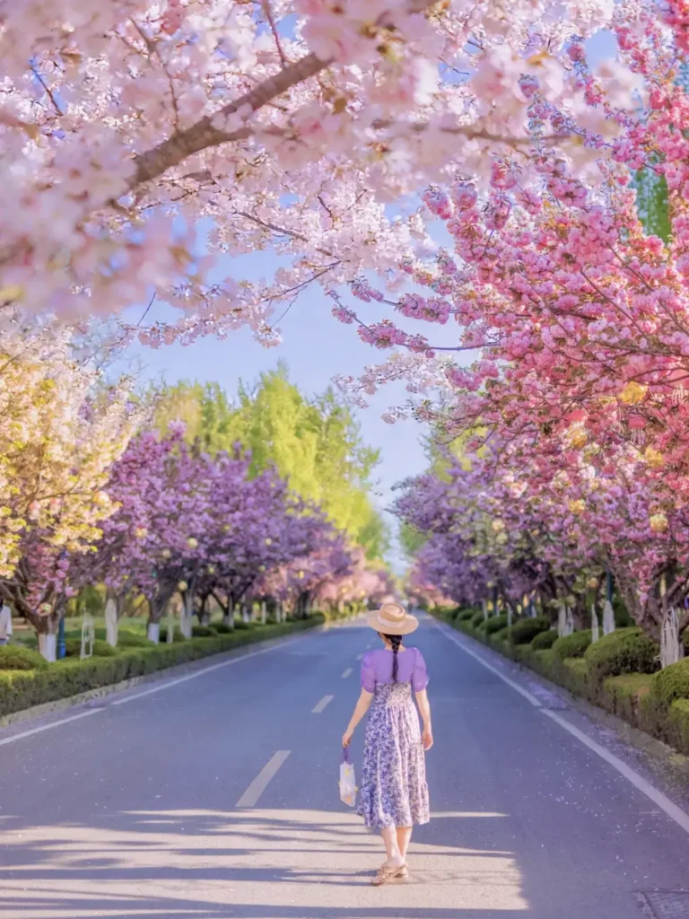 8-Day Qingdao Itinerary
Qingdao travel guide
Best seafood in China
Badaguan Scenic Area