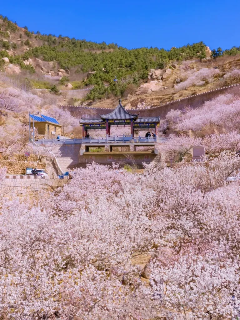 8-Day Qingdao Itinerary
Qingdao travel guide
Best seafood in China
Badaguan Scenic Area