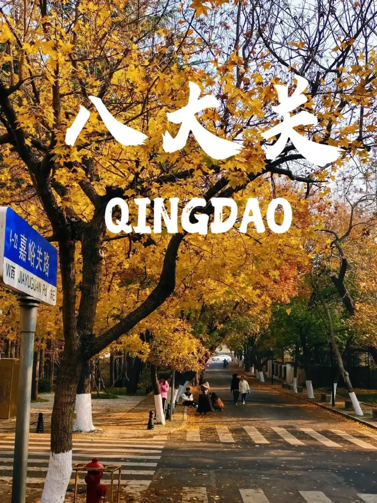 8-Day Qingdao Itinerary
Qingdao travel guide
Best seafood in China
Badaguan Scenic Area