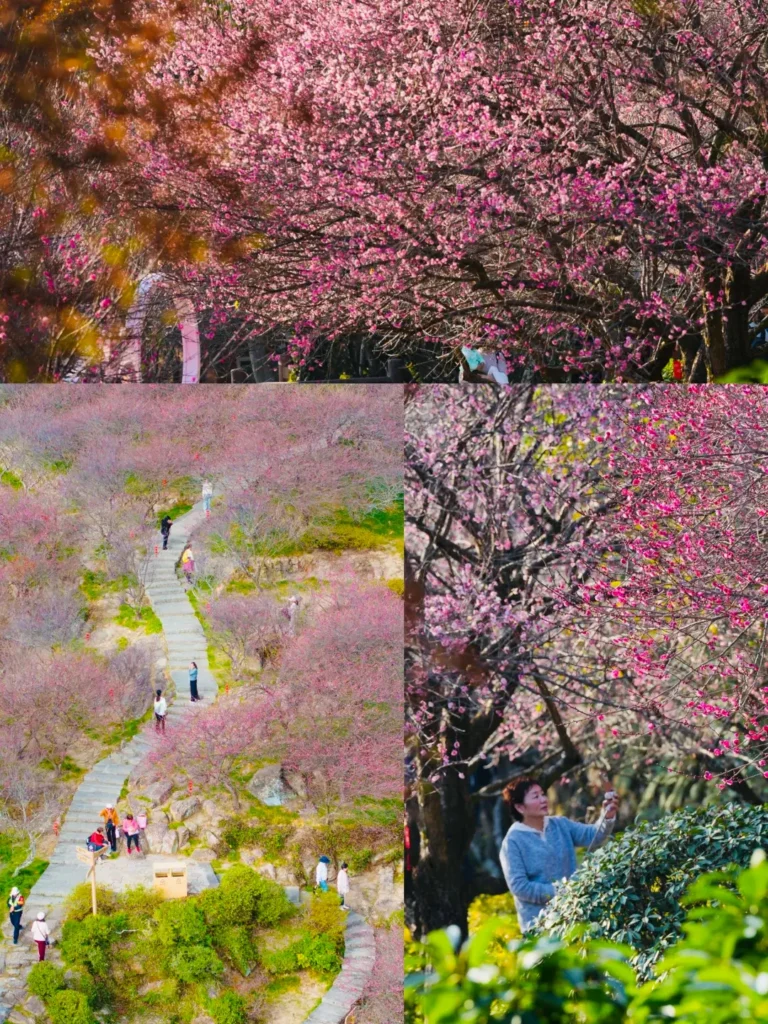 Quanzhou
Fujian Itinerary
Fujian culture tour
Mount Drum
Yongquan Temple