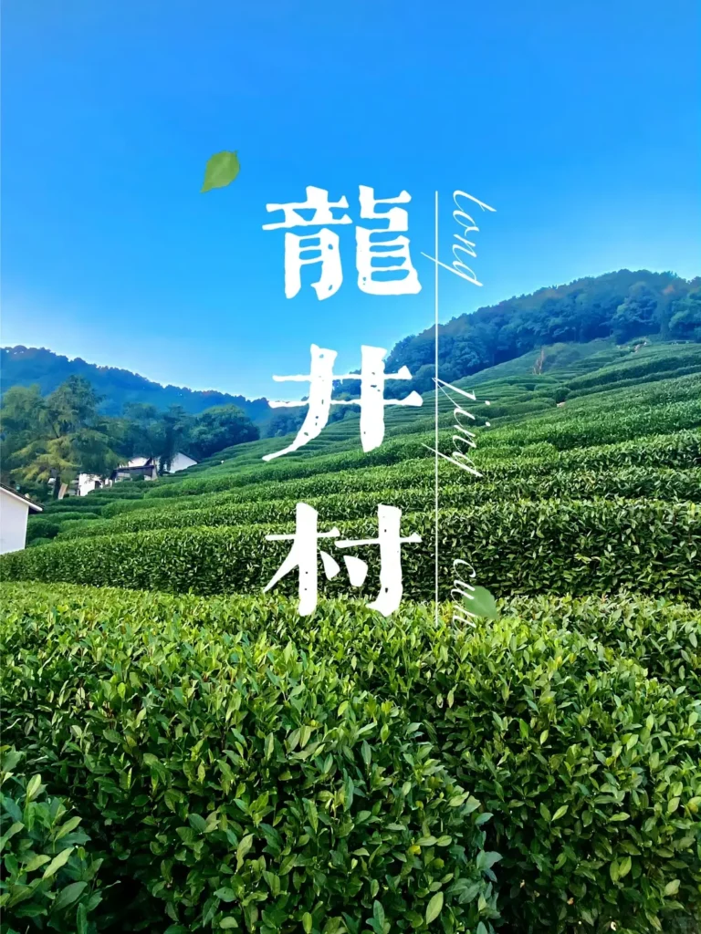 Hangzhou travel guide
Things to do in Hangzhou
Hangzhou 7-day itinerary
Hangzhou culture
China National Tea Museum