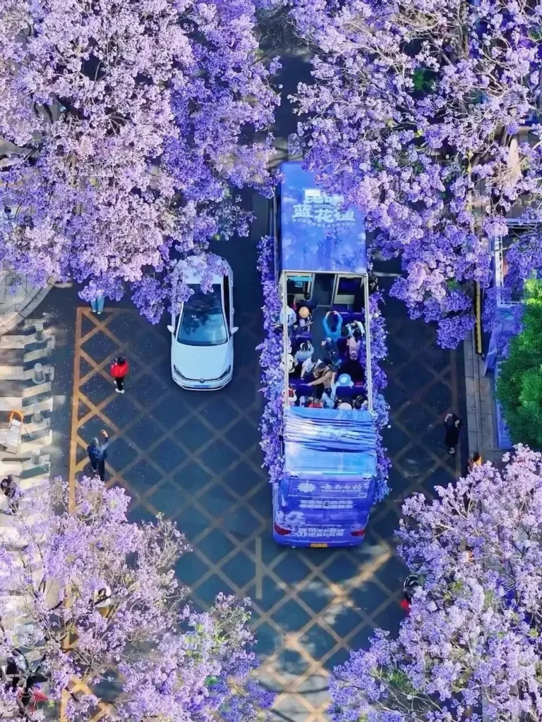 Kunming Travel Guide