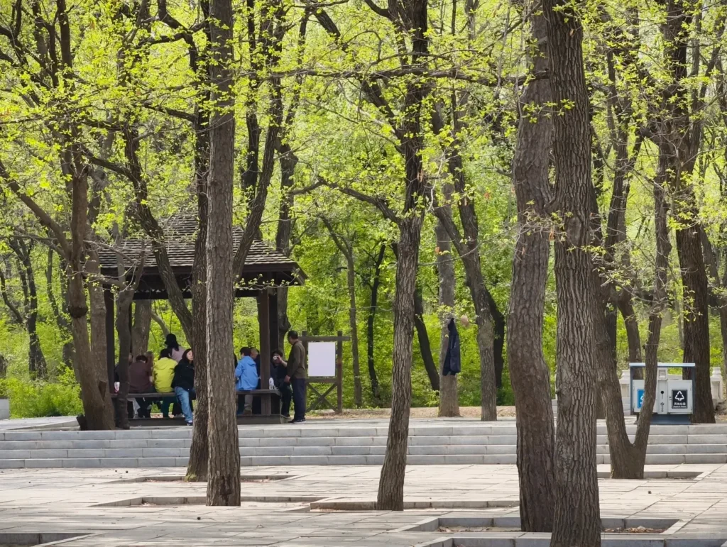 Visiting the Eastern Qing Tombs is one of the top things to do in Tangshan.
Tangshan travel guide
Things to do in Tangshan
Tangshan attractions
Tangshan itinerary
Eastern Qing Tombs
Luanzhou Ancient City