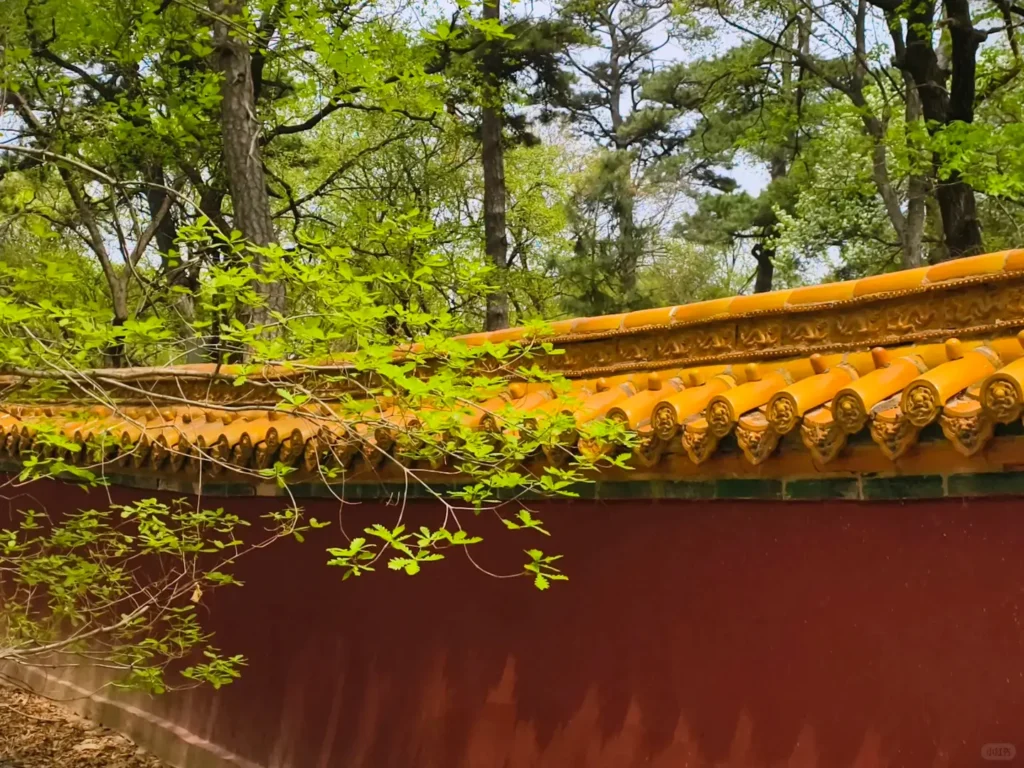 Visiting the Eastern Qing Tombs is one of the top things to do in Tangshan.
Tangshan travel guide
Things to do in Tangshan
Tangshan attractions
Tangshan itinerary
Eastern Qing Tombs
Luanzhou Ancient City