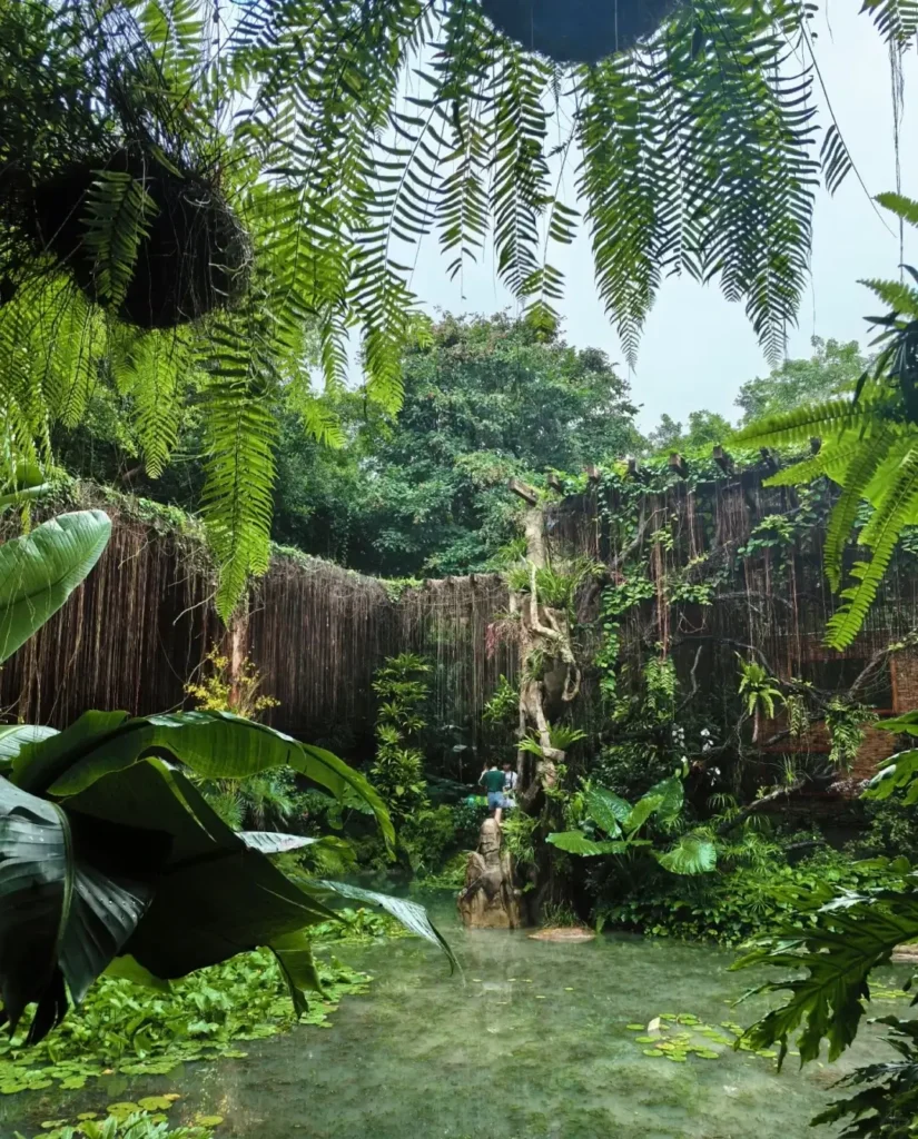 Nanning travel guide
Things to do in Nanning
Nanning attractions
Nanning Botanical Garden
Nanning itinerary