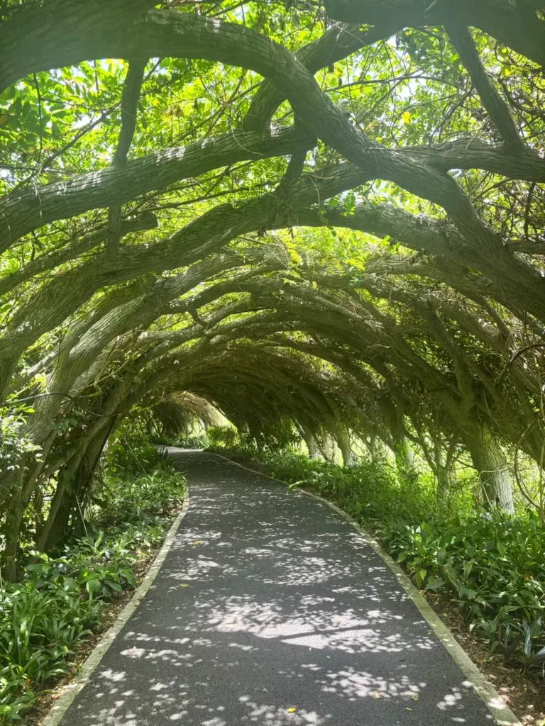 Nanning travel guide
Things to do in Nanning
Nanning attractions
Nanning Botanical Garden
Nanning itinerary