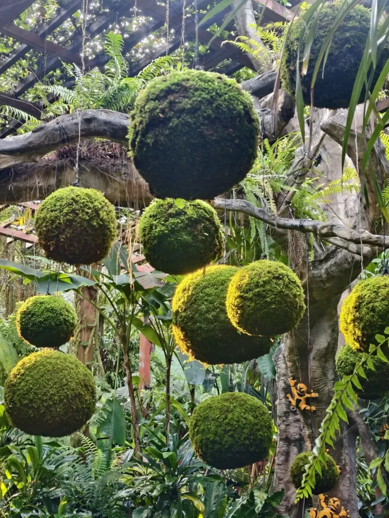 Nanning travel guide
Things to do in Nanning
Nanning attractions
Nanning Botanical Garden
Nanning itinerary