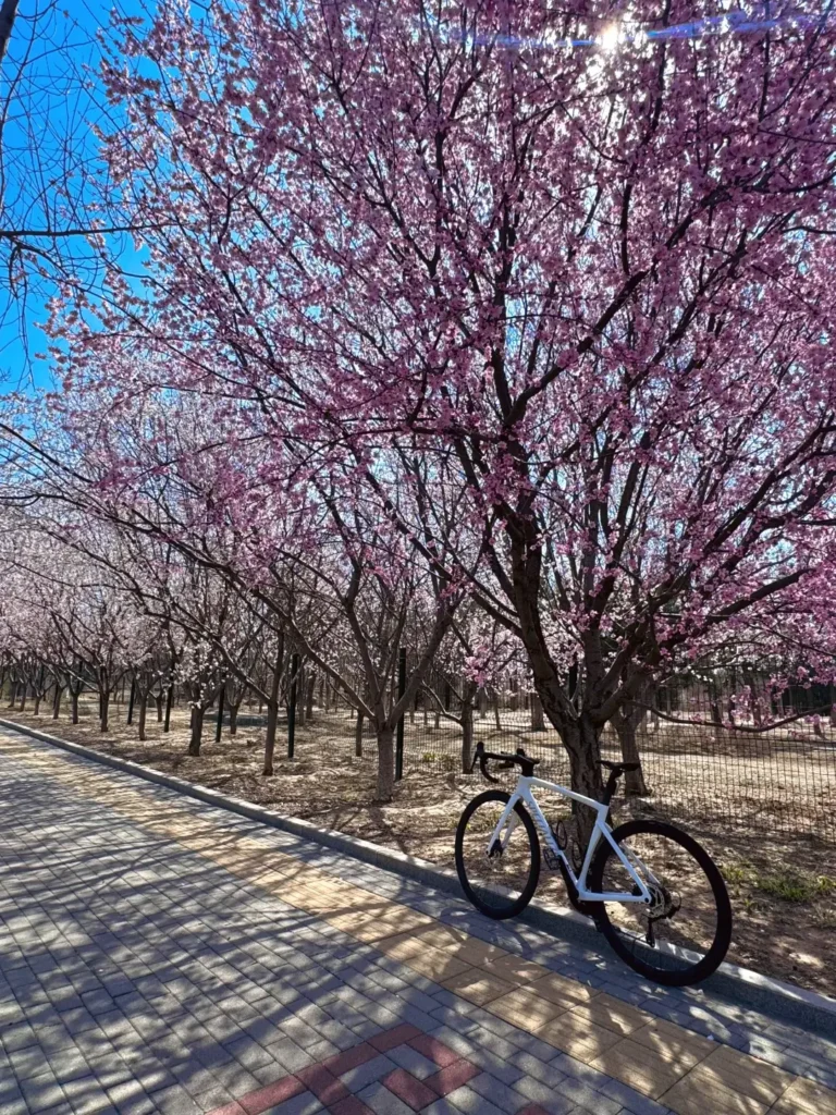 Langfang travel guide
Things to do in Langfang
Langfang attractions
Langfang itinerary
Only Dazuilou
Dream of the Red Chamber