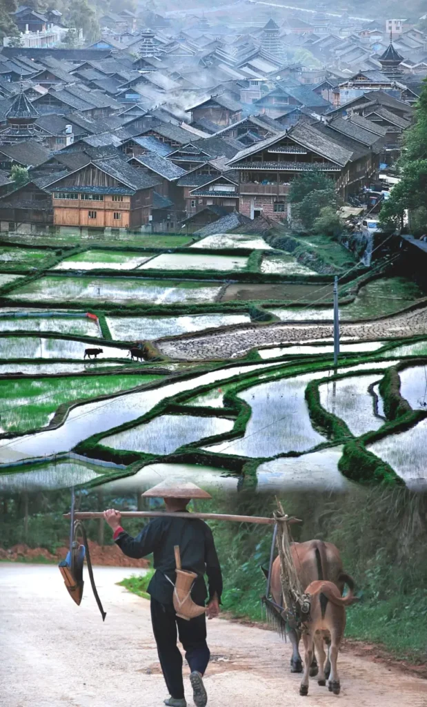 Zhaoxing itineraryZhaoxing travel guideZhaoxing Dong villageDong minority cultureJiaban grice terracesGuizhou travel
