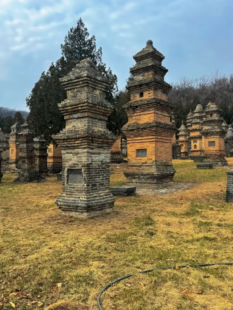 Zhengzhou itinerary
Zhengzhou travel guide
China travel
The Pagoda Forest