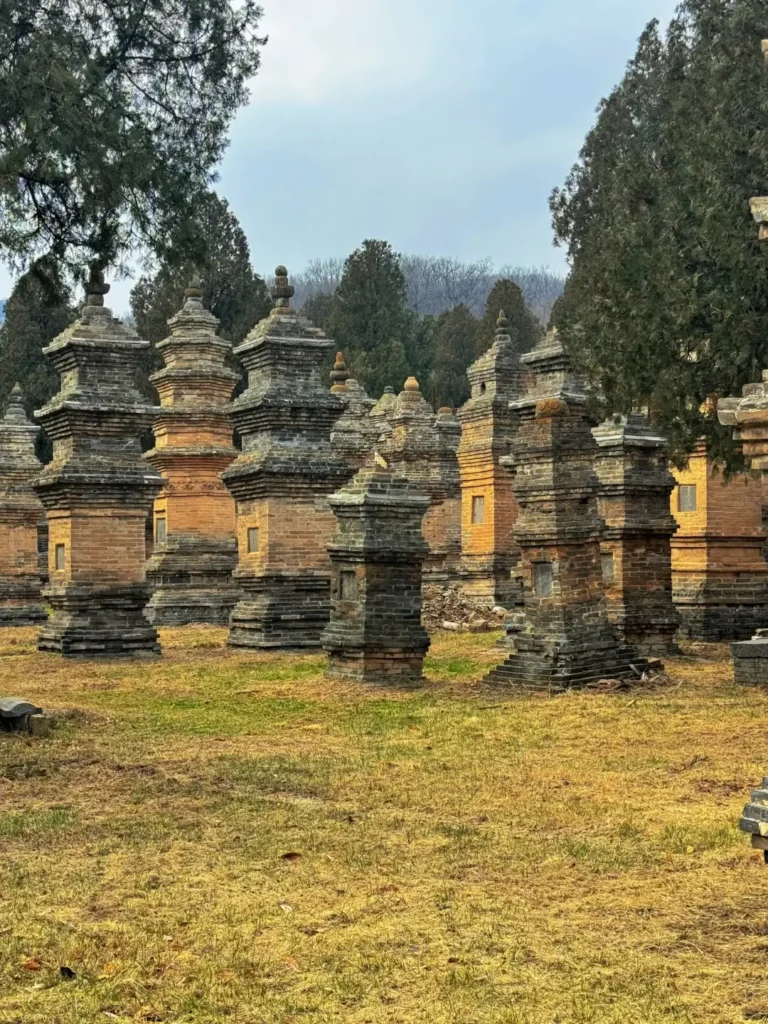 Zhengzhou itinerary
Zhengzhou travel guide
China travel
The Pagoda Forest