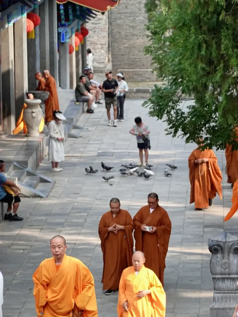 Zhengzhou itinerary
Zhengzhou travel guide
China travel
Shaolin Temple