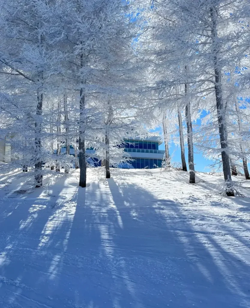Experiencing world-class Zhangjiakou skiing to discover the top Zhangjiakou attractions on your Zhangjiakou itinerary.
Zhangjiakou travel guide
Things to do in Zhangjiakou
Zhangjiakou attractions
Zhangjiakou itinerary
Zhangjiakou skiing
Winter Olympics