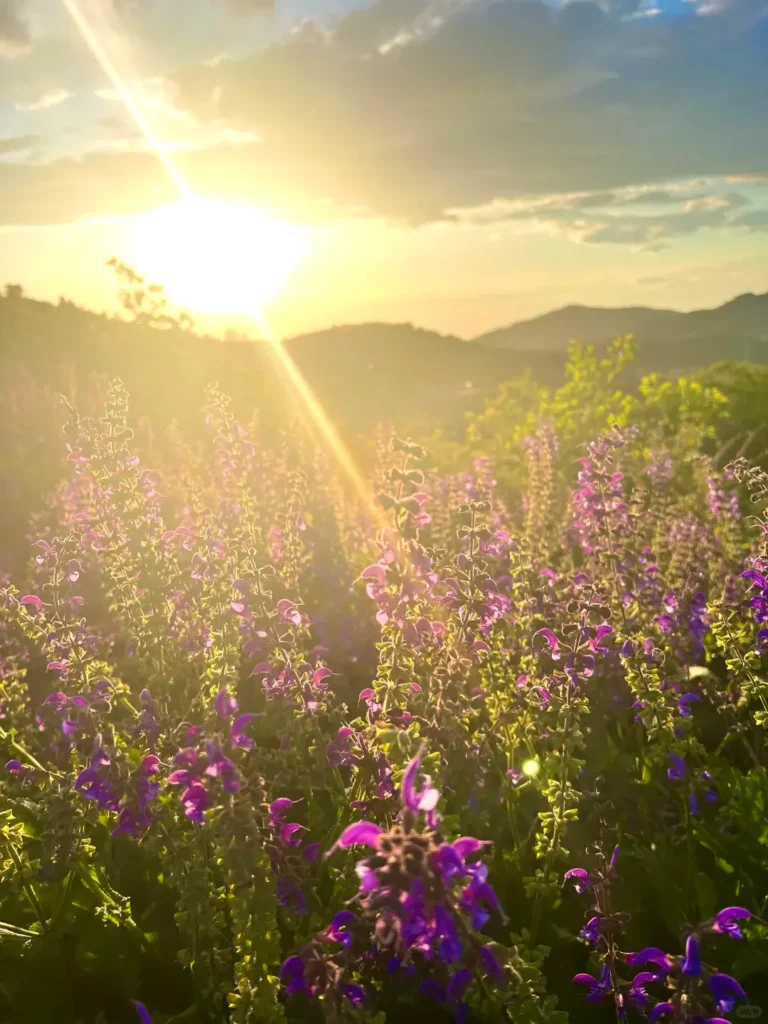 Zhengzhou itinerary
Zhengzhou travel guide
China travel
Mount Song