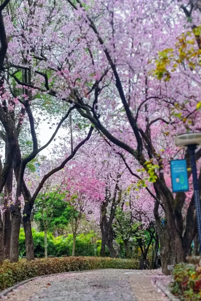 Liuzhou travel guide
Liuzhou itinerary
Luosifen
San jiang
top attractions
China travel
Liuhou Park