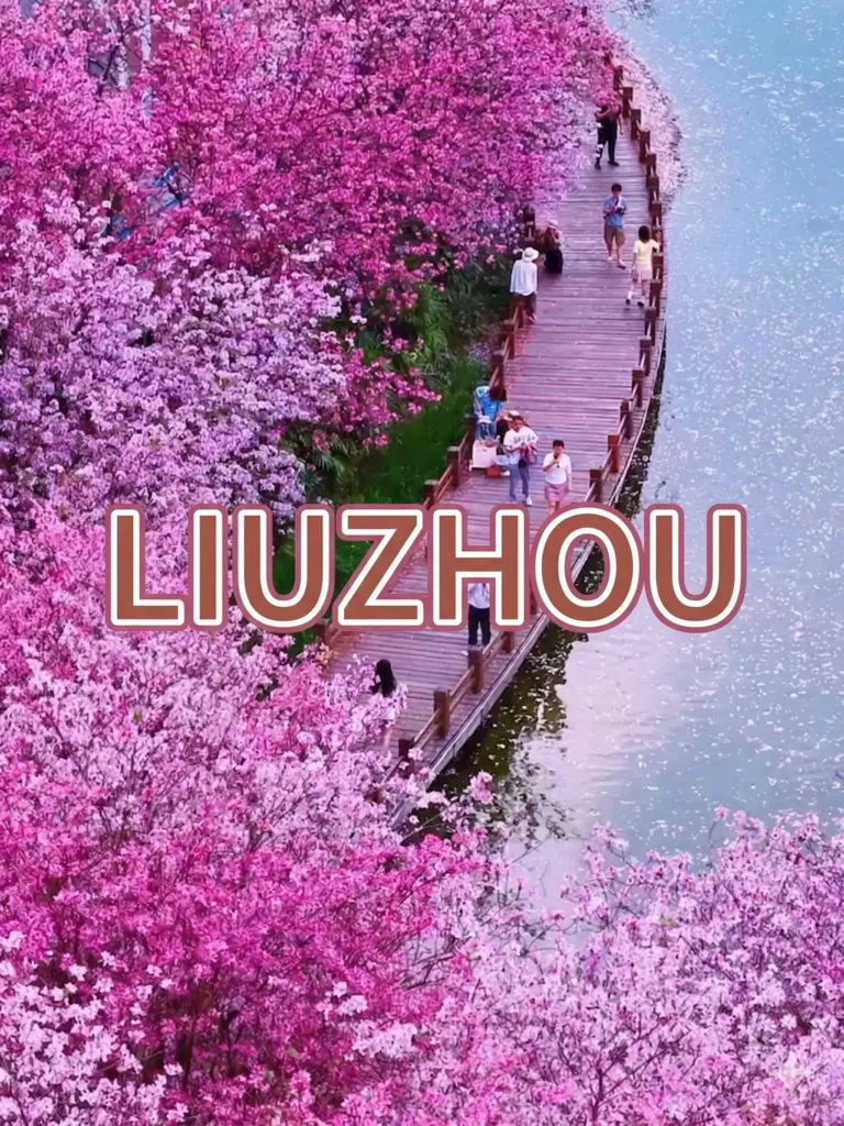 Liuzhou travel guide
Liuzhou itinerary
Luosifen
San jiang
top attractions
China travel
A breathtaking night view of the curving Liu River to inspire your ultimate Liuzhou travel guide and China travel plans.