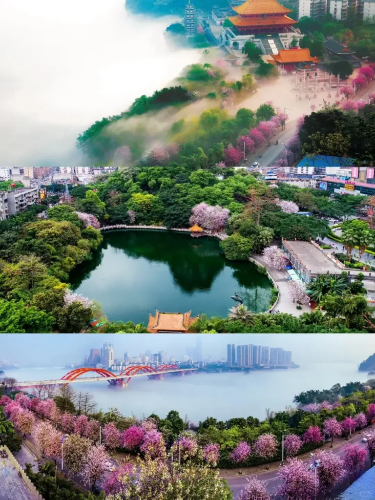 Liuzhou travel guide
Liuzhou itinerary
Luosifen
San jiang
top attractions
China travel