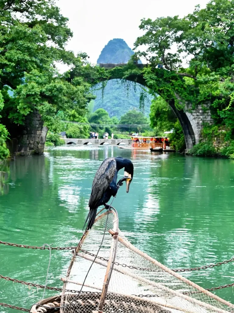 Guilin travel guide
Guilin itinerary
Yangshuo
Li River
Longji Rice Terraces
China travel
Yulong River
Experiencing a tranquil bamboo raft ride during your comprehensive Guilin travel guide adventure.