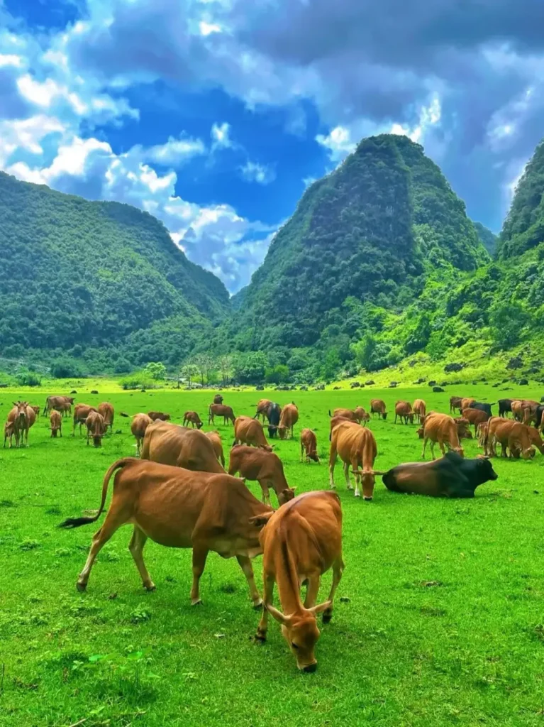 Guilin travel guide
Guilin itinerary
Yangshuo
Li River
Longji Rice Terraces
China travel
Yulong River