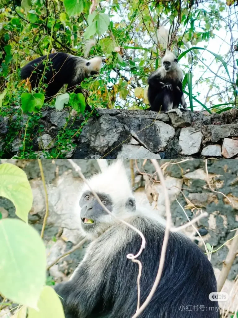 Guilin travel guide
Guilin itinerary
Yangshuo
Li River
Longji Rice Terraces
China travel
Yulong River