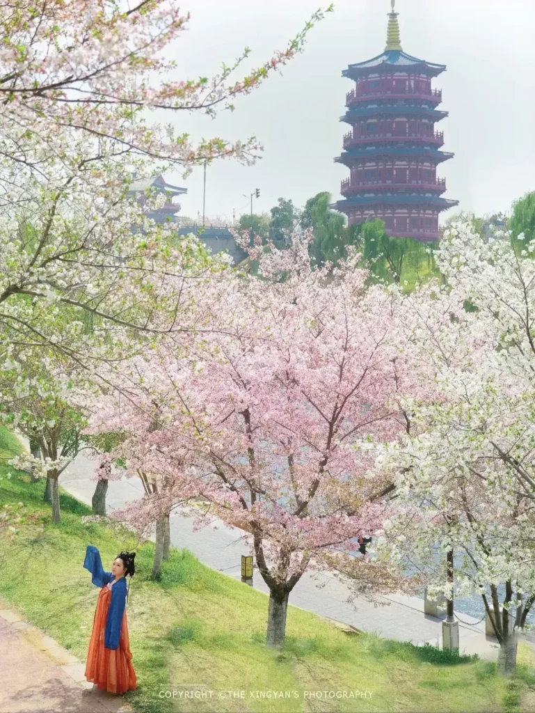 Luoyang itinerary
Luoyang travel guide
Longmen Grottoes
China travel
Luoyang Ancient Tombs Museum
Peony Festival