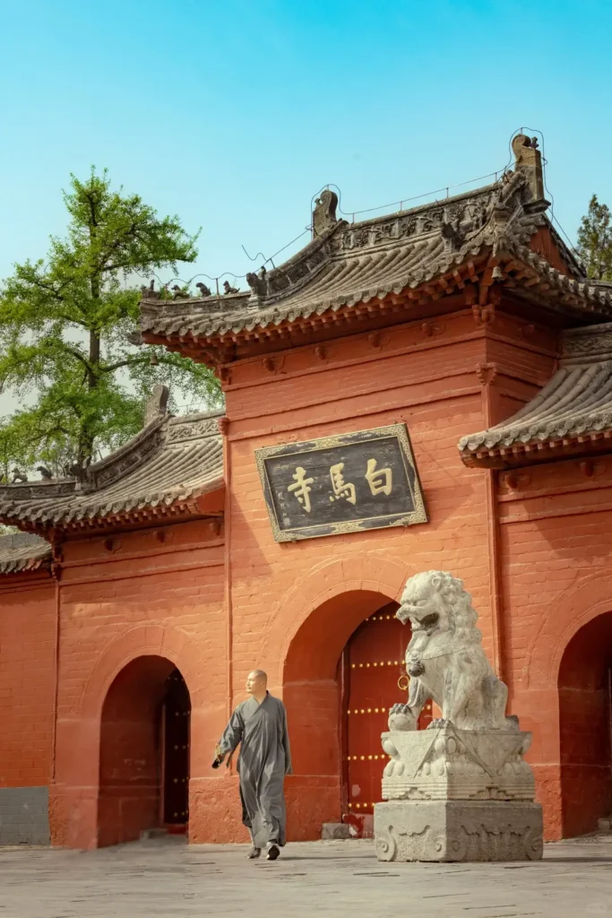 Luoyang itinerary
Luoyang travel guide
Peony Festival
China travel
Luoyang Museum
The Historic White Horse Temple