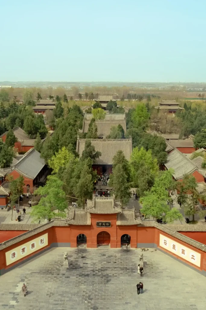 Luoyang itinerary
Luoyang travel guide
Peony Festival
China travel
Luoyang Museum
The Historic White Horse Temple