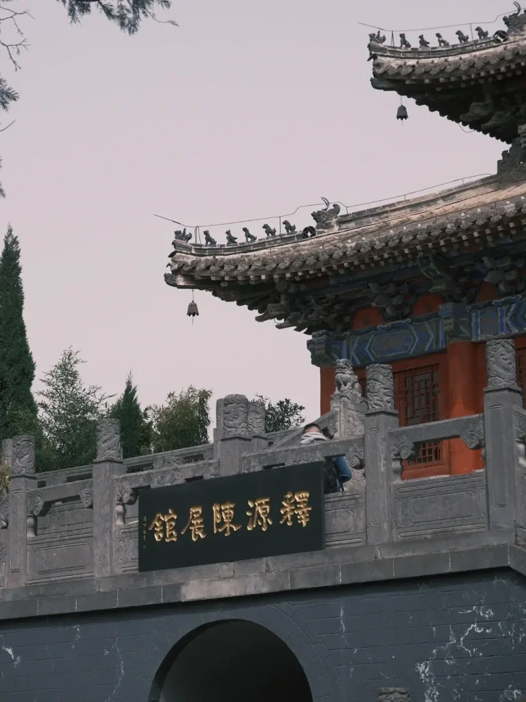 Luoyang itinerary
Luoyang travel guide
Peony Festival
China travel
Luoyang Museum
The Historic White Horse Temple