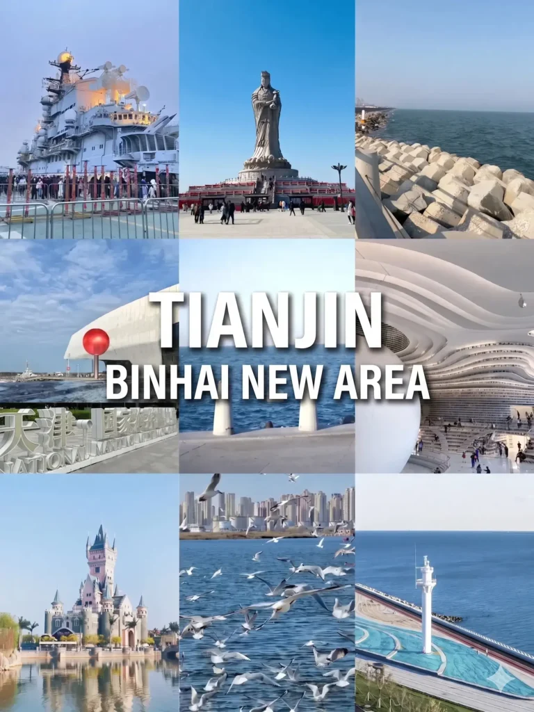 Exploring the Binhai Library using this expert Tianjin travel guide.
Tianjin travel guide
Things to do in Tianjin
Tianjin attractions
Tianjin itinerary
Five Great Avenues
Binhai Library