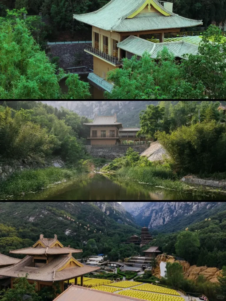 Zhengzhou itinerary
Zhengzhou travel guide
China travel
The Pagoda Forest