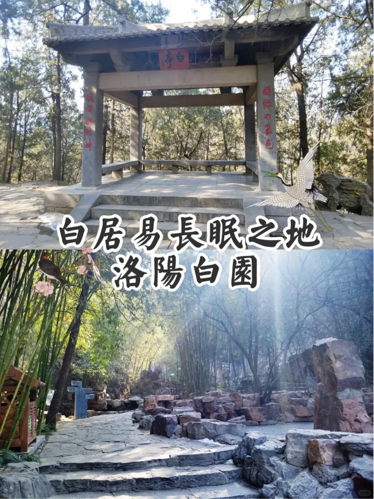 Luoyang itinerary
Luoyang travel guide
Longmen Grottoes
White Horse Temple
Peony Festival
China travel
Bai Garden