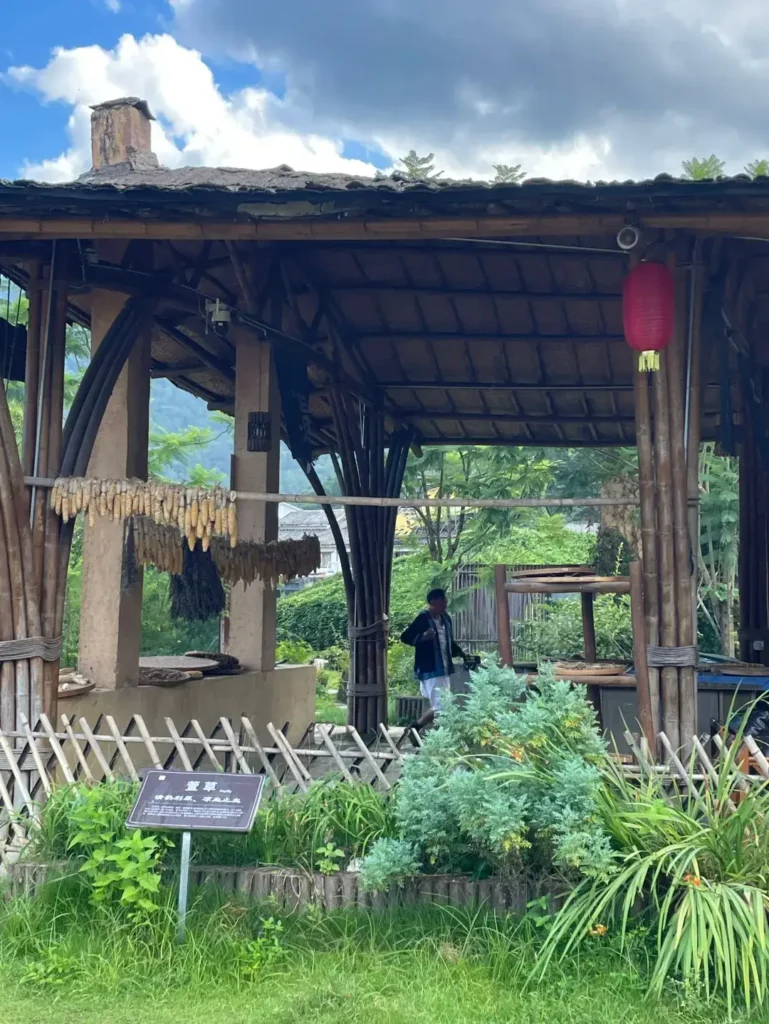 Libo itineraryLibo travel guideYaoshan Ancient VillageMaolan Nature ReserveGuizhou travelChina travel