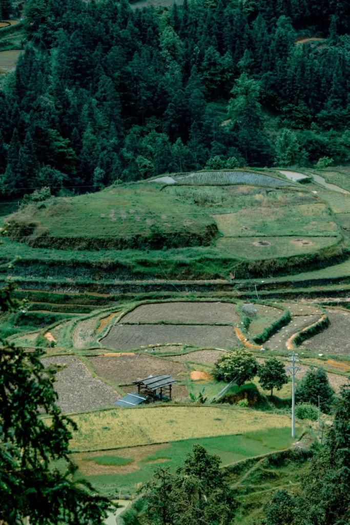 Guizhou itinerary
Guizhou travel guide
Huangguoshu Waterfall
Miao village
Kaili
China travel
Xijiang