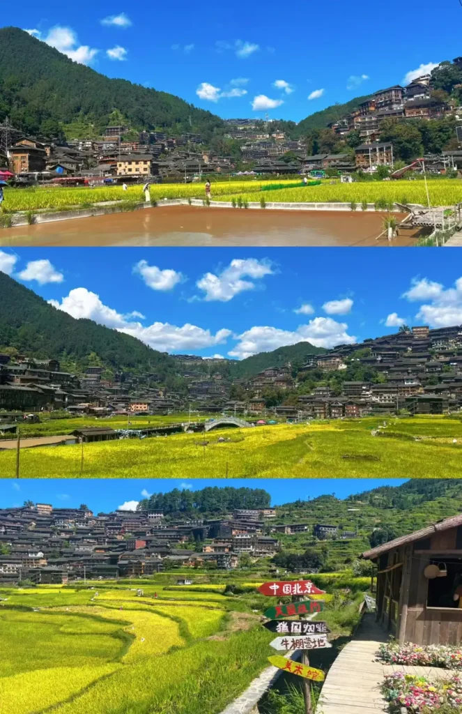 Zhaoxing itineraryZhaoxing travel guideZhaoxing Dong villageDong minority cultureJiaban grice terracesGuizhou travel