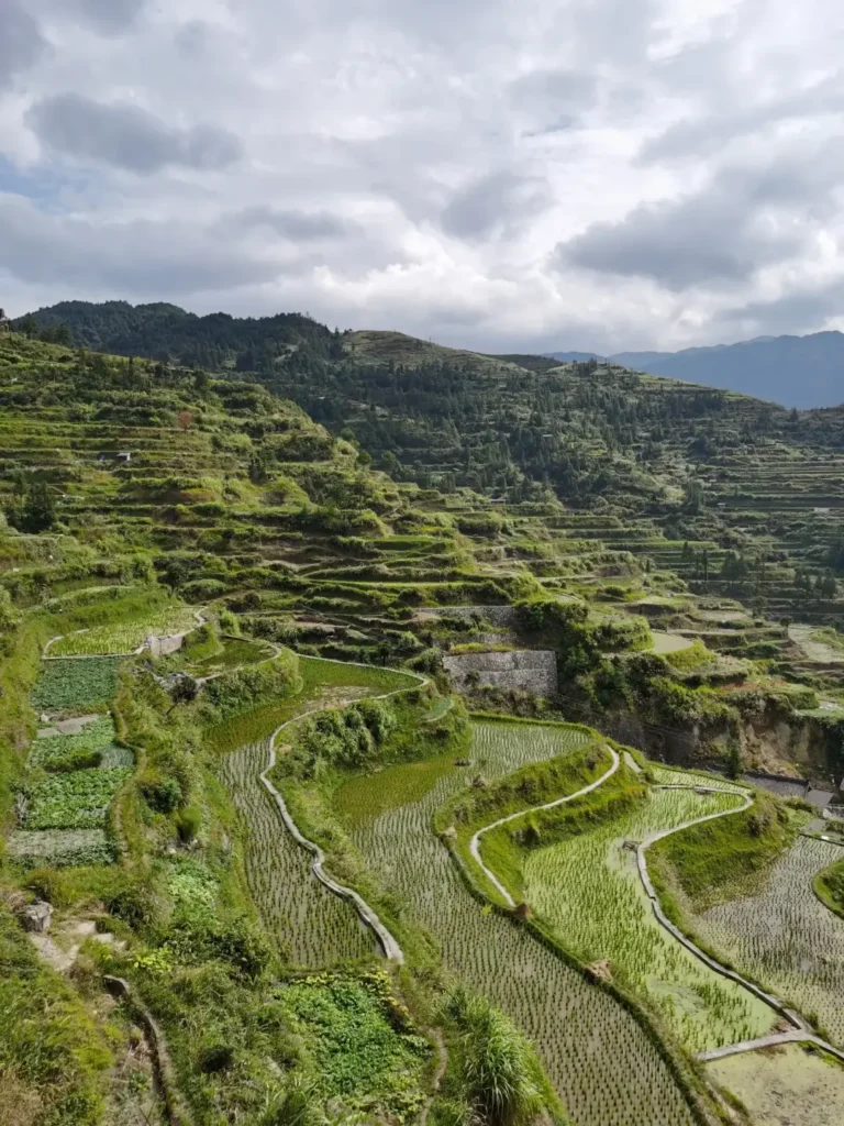 Zhaoxing itineraryZhaoxing travel guideZhaoxing Dong villageDong minority cultureJiaban grice terracesGuizhou travel