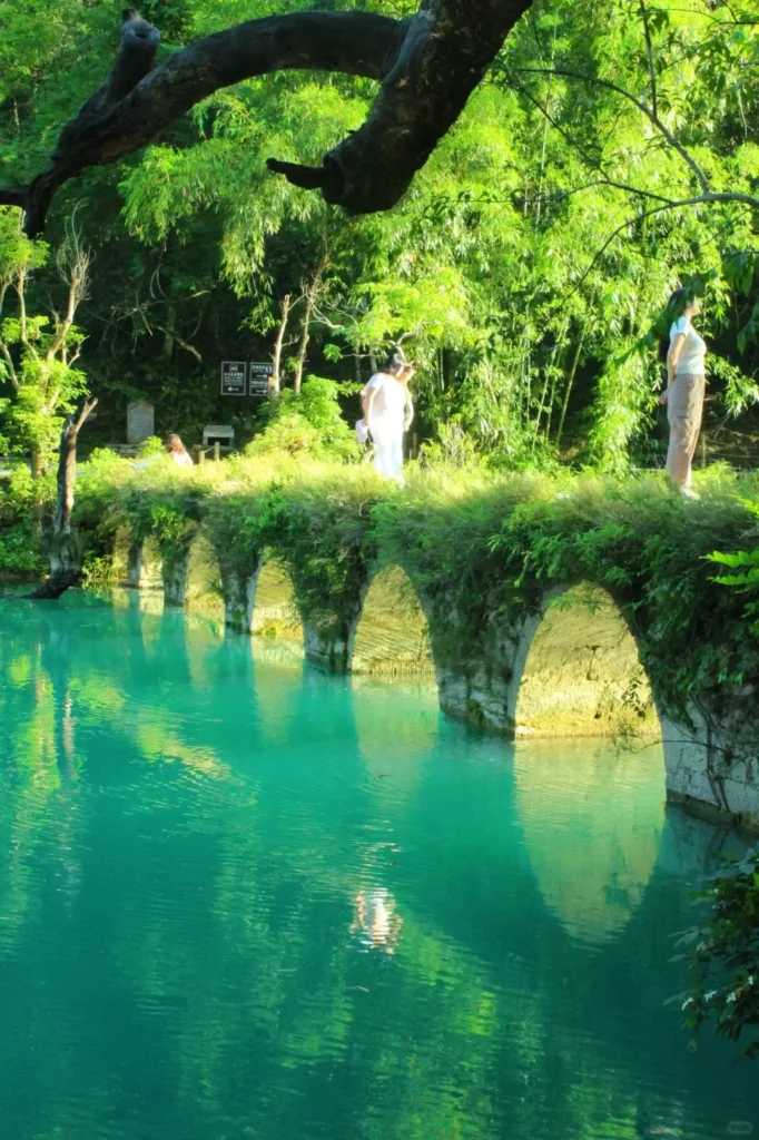 Libo itineraryLibo travel guideXiaoqi kongMaolan Nature ReserveGuizhou travelChina travelWitnessing the pristine emerald lakes of the Maolan Nature Reserve region during this China travel adventure