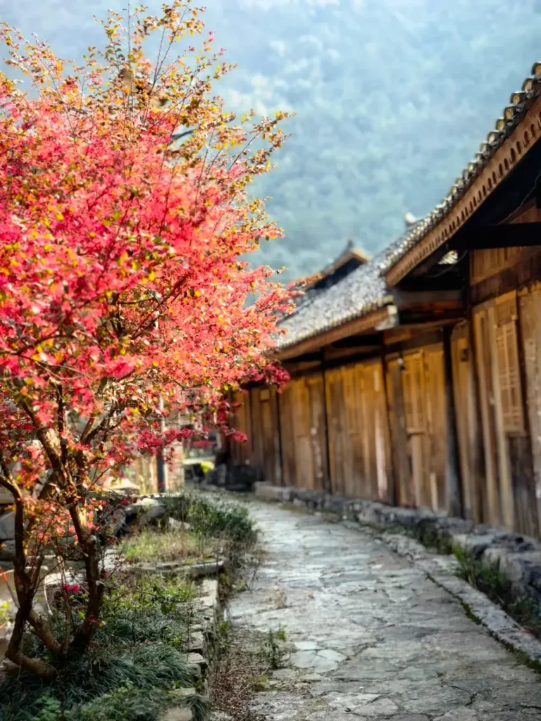 Libo itineraryLibo travel guideXiaoqi kongMaolan Nature ReserveGuizhou travelChina travelA breathtaking view of the emerald waters at Xiaoqikong to inspire your ultimate Libo itinerary.