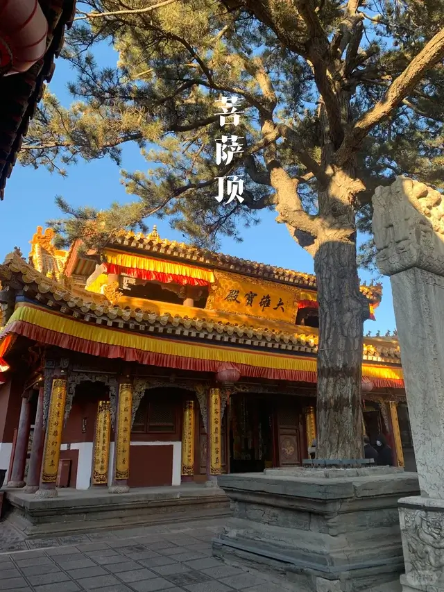Pusa Ding (Bodhisattva Summit)
Shanxi travel guide
Things to do in Shanxi
Shanxi attractions
Shanxi itinerary
Pingyao Ancient City
Yungang Grottoes