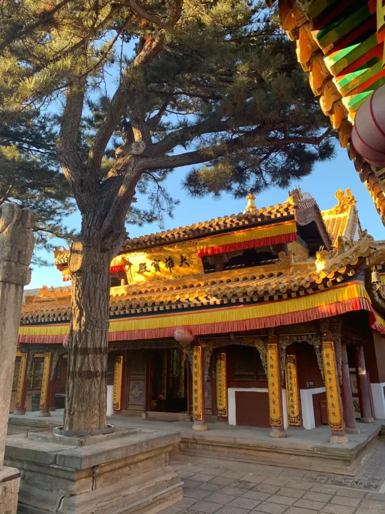 Pusa Ding (Bodhisattva Summit)
Shanxi travel guide
Things to do in Shanxi
Shanxi attractions
Shanxi itinerary
Pingyao Ancient City
Yungang Grottoes