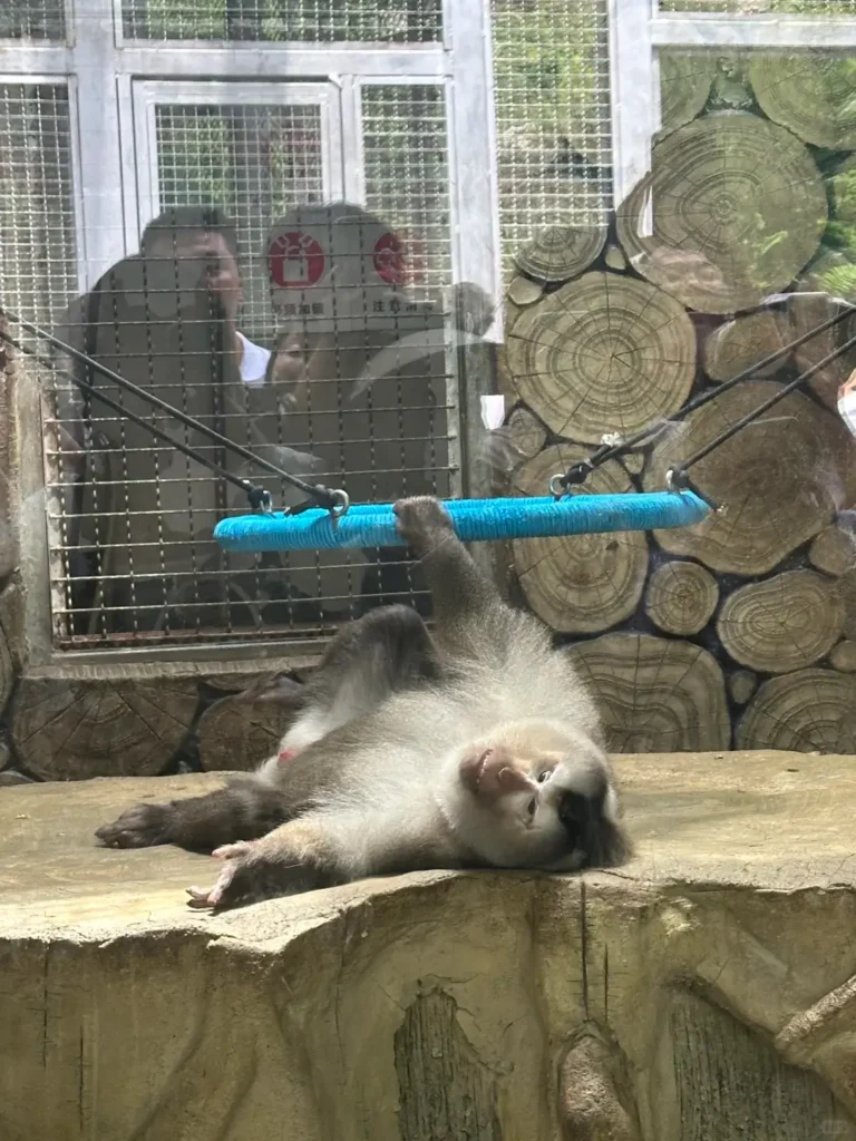 Guiyang travel guideGuiyang itineraryQianlingshan ParkJiaxiu PavilionQingyan Ancient TownGuizhou travel