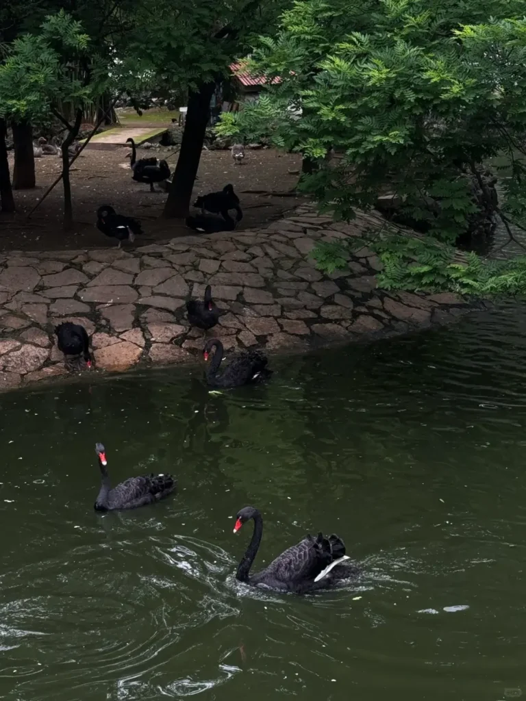 Guiyang travel guideGuiyang itineraryQianlingshan ParkJiaxiu PavilionQingyan Ancient TownGuizhou travel