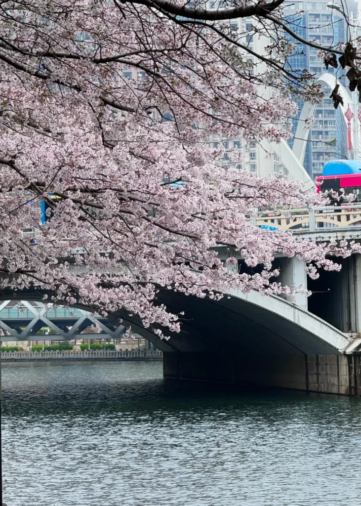 Guiyang travel guideGuiyang itineraryNanming RiverGuizhou travel