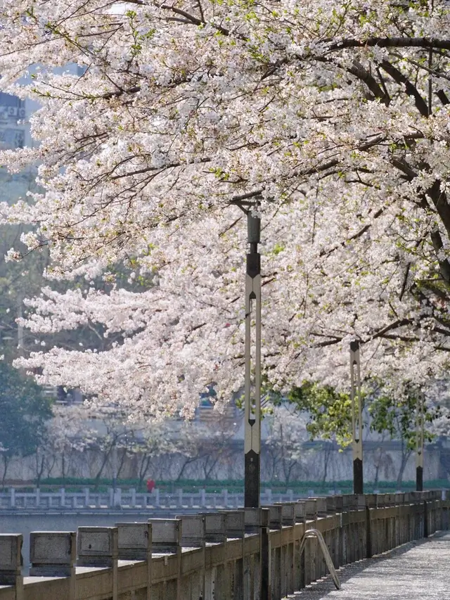 Guiyang travel guideGuiyang itineraryNanming RiverGuizhou travel