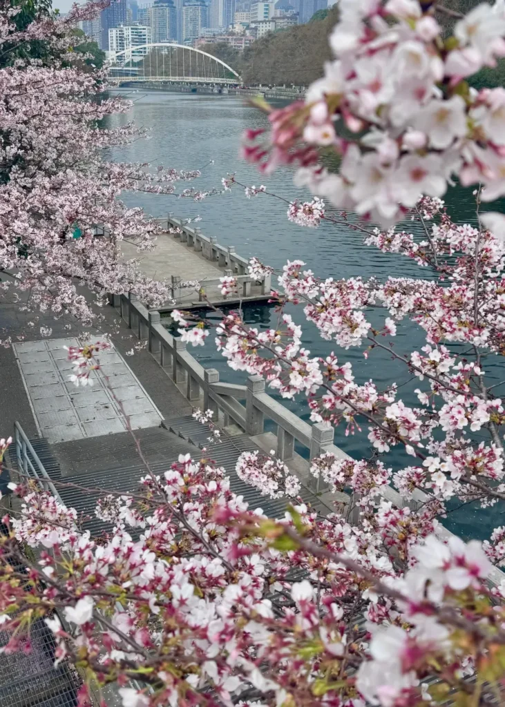 Guiyang travel guideGuiyang itineraryNanming RiverGuizhou travel