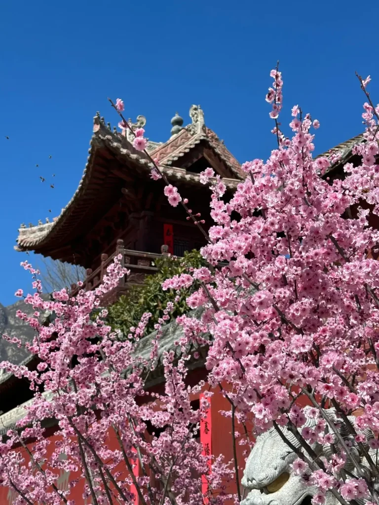 Zhengzhou itinerary
Zhengzhou travel guide
China travel
Luya Temple